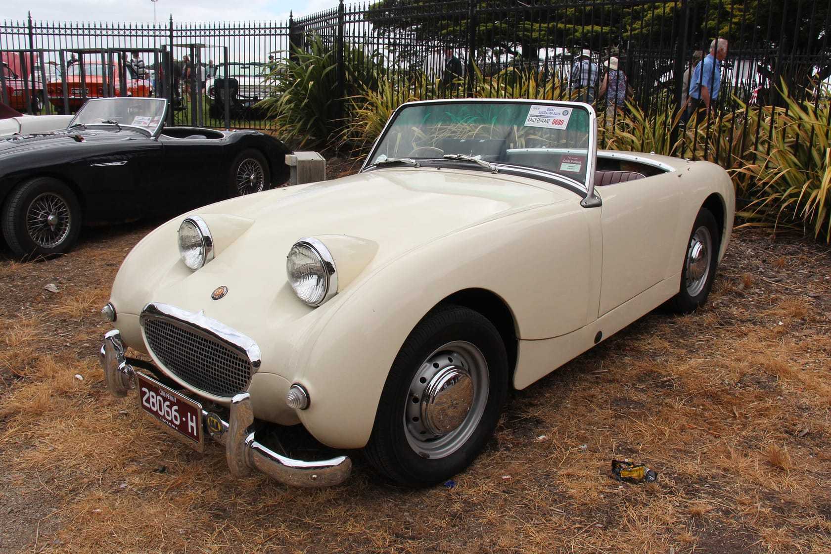 A pale blue 1959 Austin-Healey Sprite Mk1 Frogeye roadster with its distinctive raised headlamps, parked on gravel