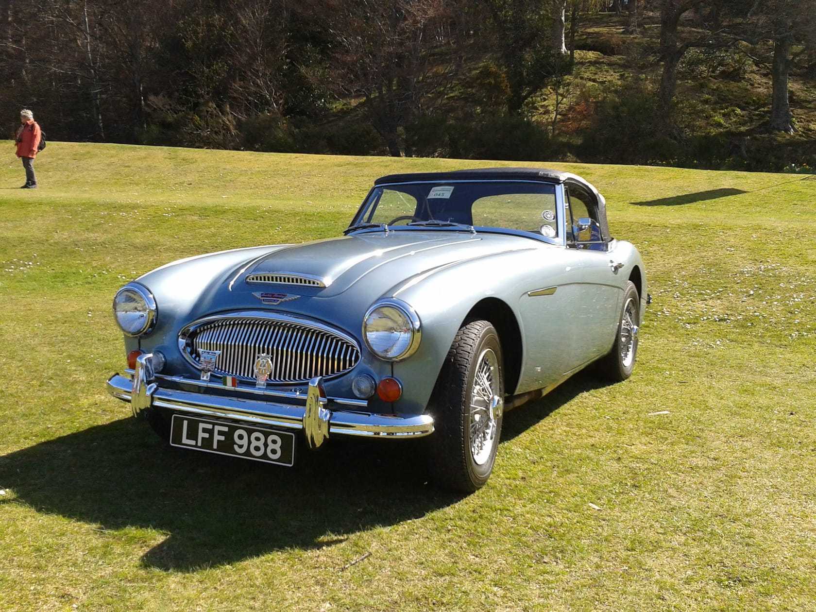 A metallic blue 1967 Austin-Healey 3000 Mk III with its hood raised and wire wheels, parked on a show field, UK registration LFF 988