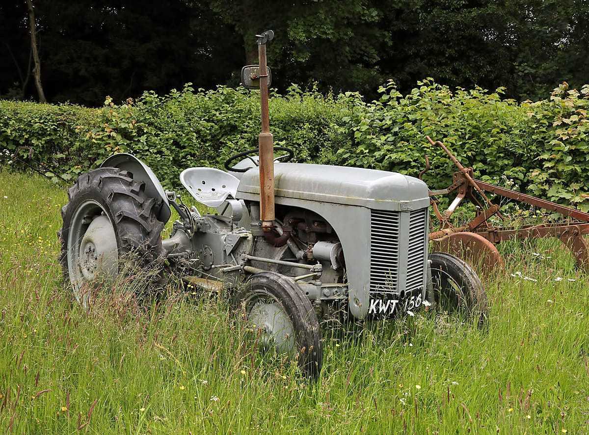A grey Ferguson TE20 standing in long grass at Philiphaugh