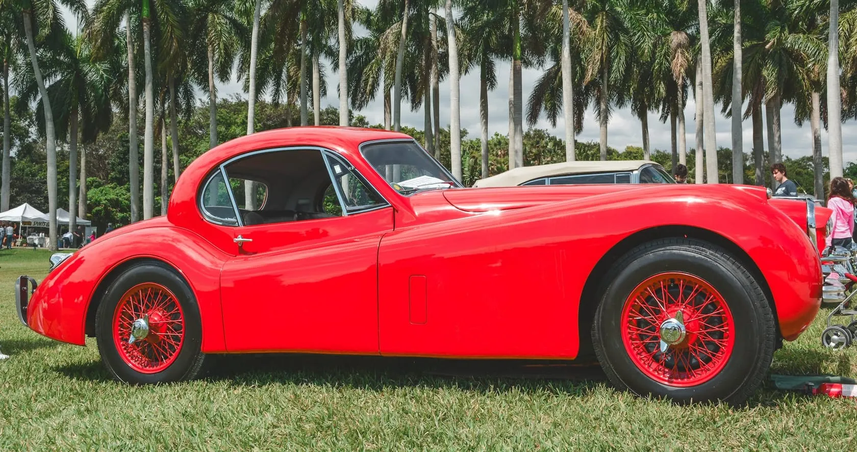 A red Jaguar XK120 fixed-head coupe in side profile with red wire wheels, parked on grass with palm trees behind