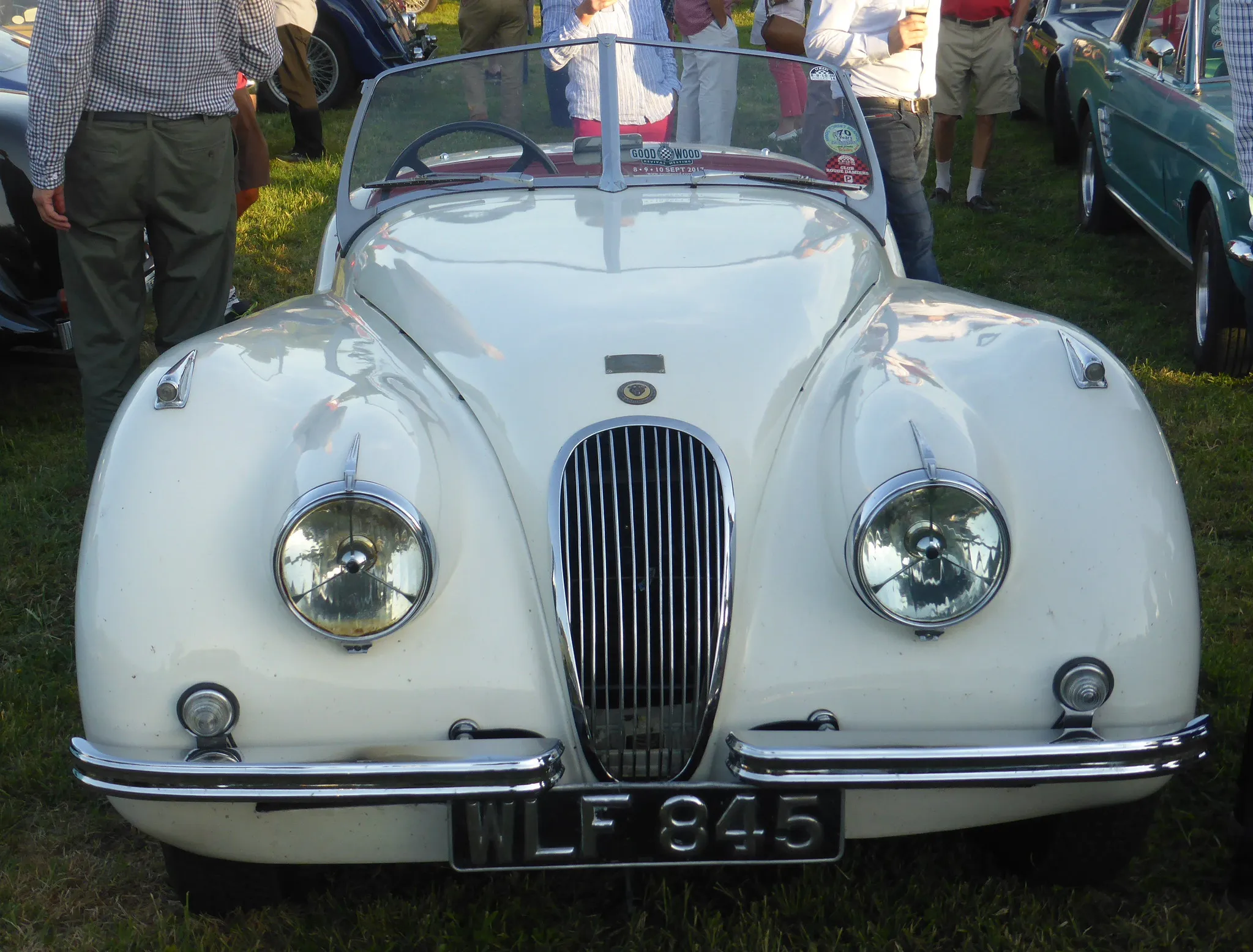 A cream Jaguar XK120 open roadster seen head-on, UK registration WLF 845