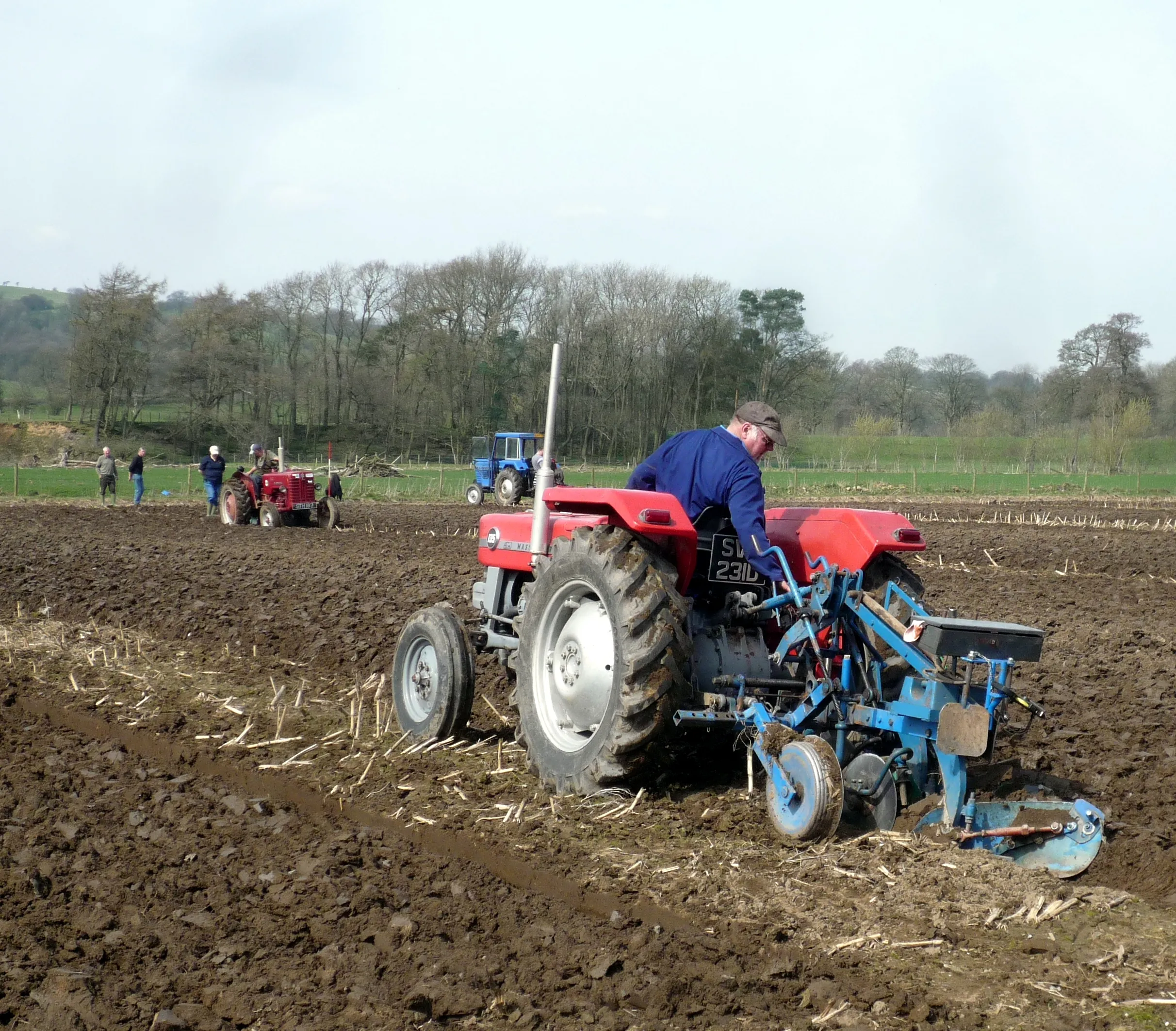 A red Massey Ferguson 135 ploughing a field at a ploughing match, seen from behind with a mounted plough, other classic tractors working in the distance