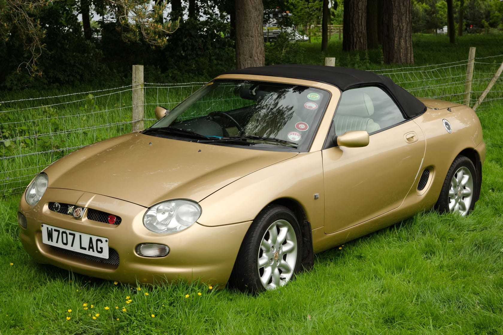 A champagne gold 2000 MGF with its hood up and a UK registration parked on grass beside a fence