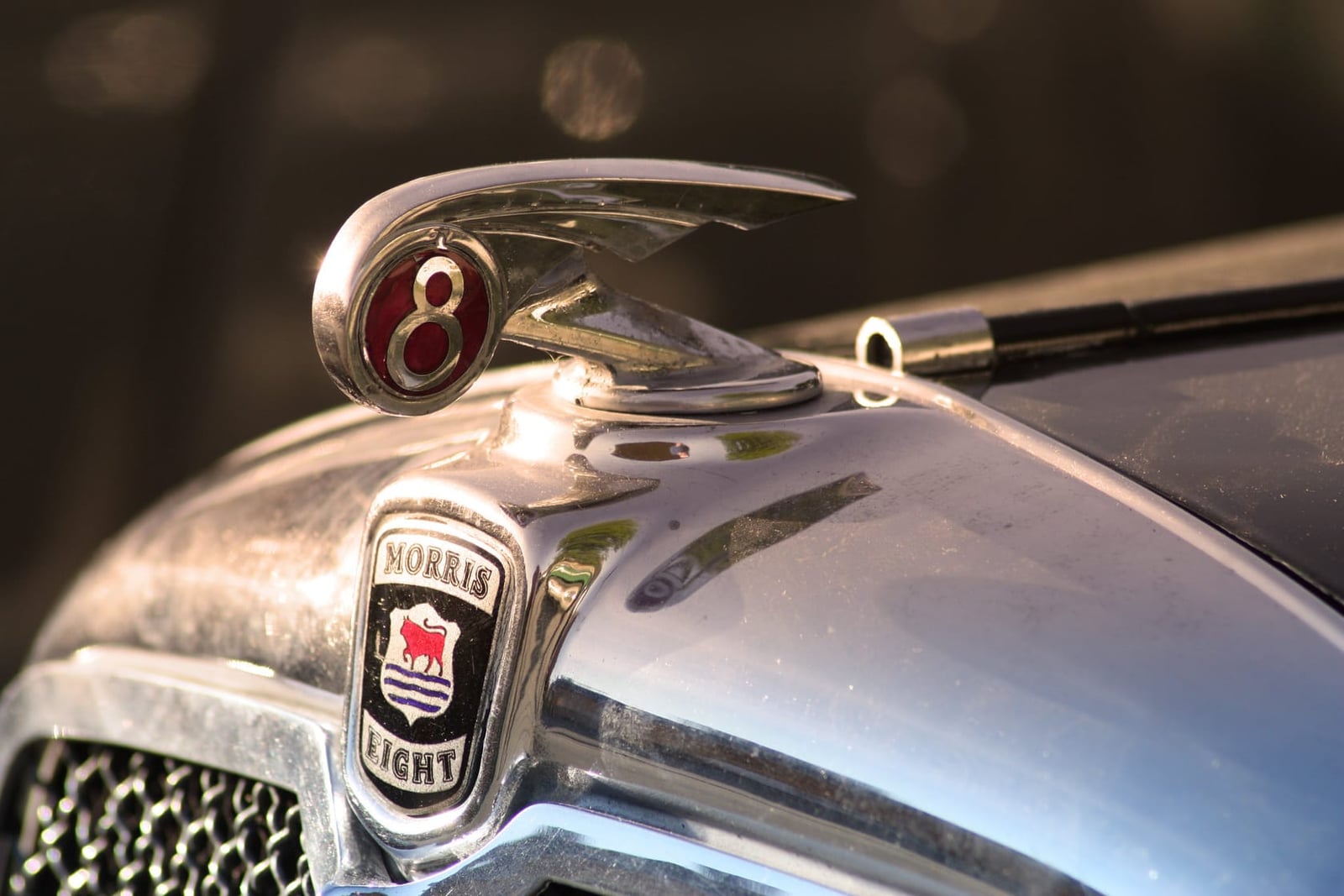 Close-up of a Morris Eight radiator badge and winged-eight bonnet mascot