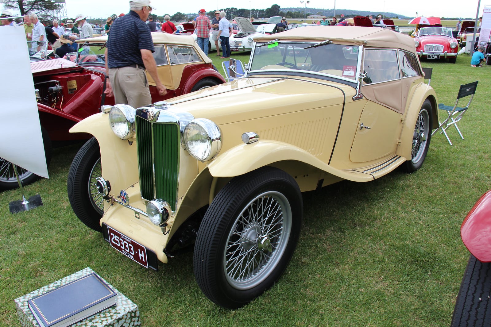 A cream MG TC roadster of 1948 on grass, front three-quarter view