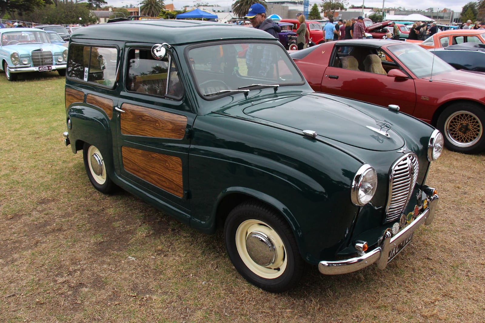 A green 1954 Austin A30 Countryman estate with wood side trim on grass at a classic car show