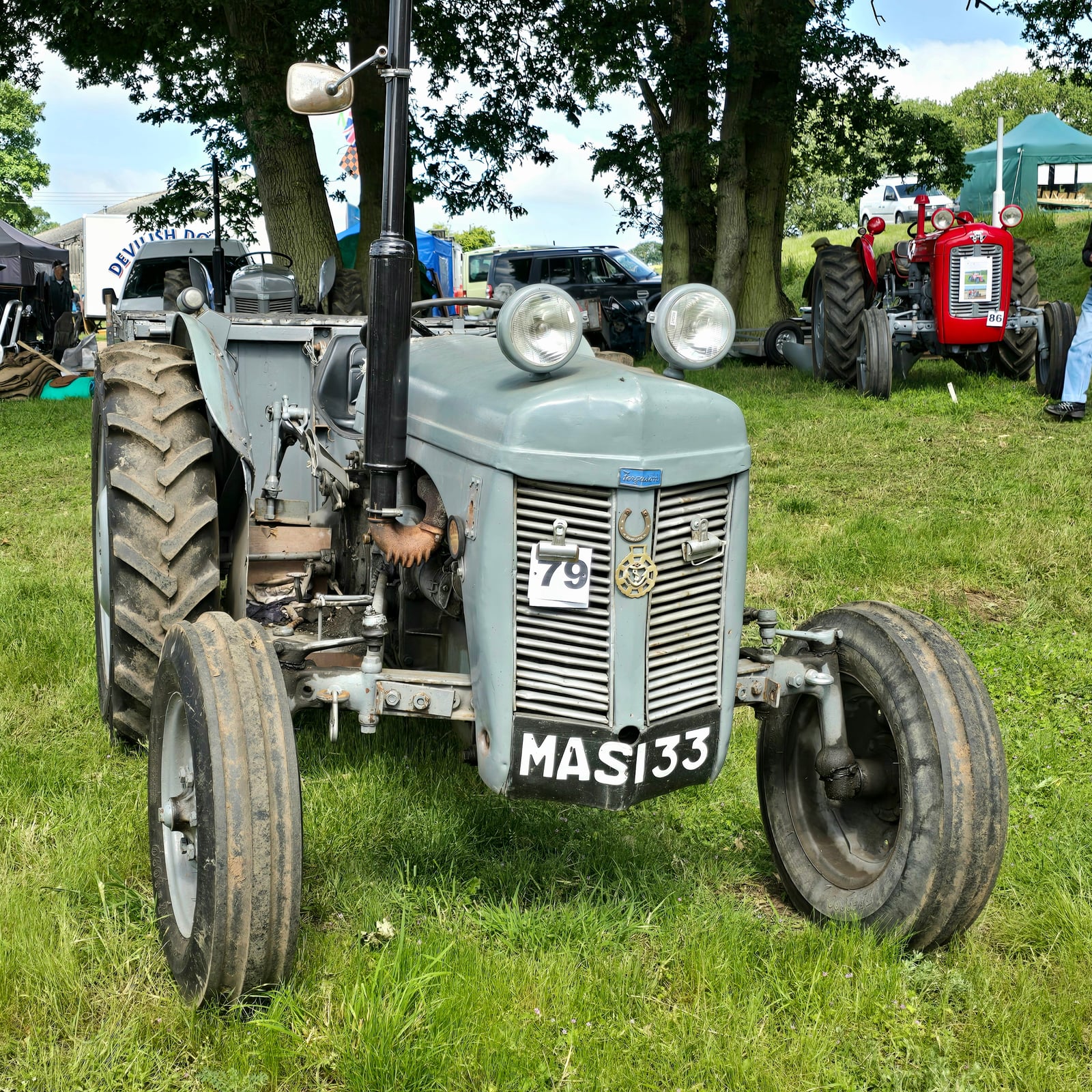 A grey Ferguson TEF20 diesel, front three-quarter view on show grass, a red Massey Ferguson behind