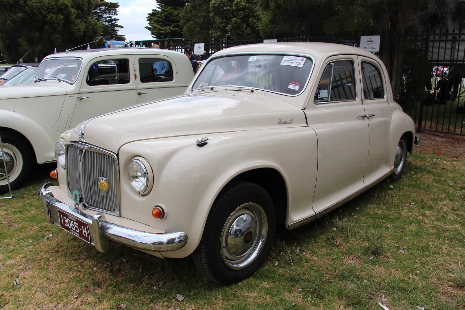 A cream 1955 Rover P4 90 saloon at a classic car show, front three-quarter view