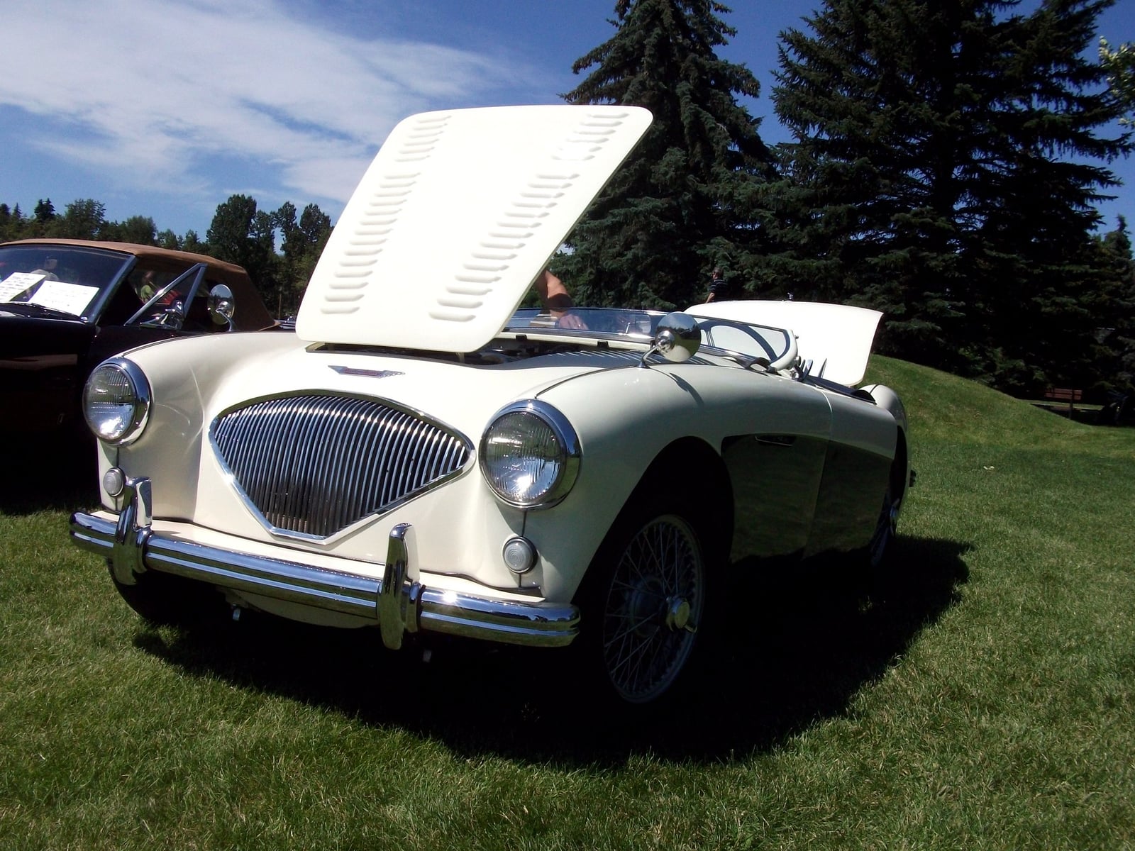 A cream Austin-Healey 100 four-cylinder roadster with its louvred bonnet raised