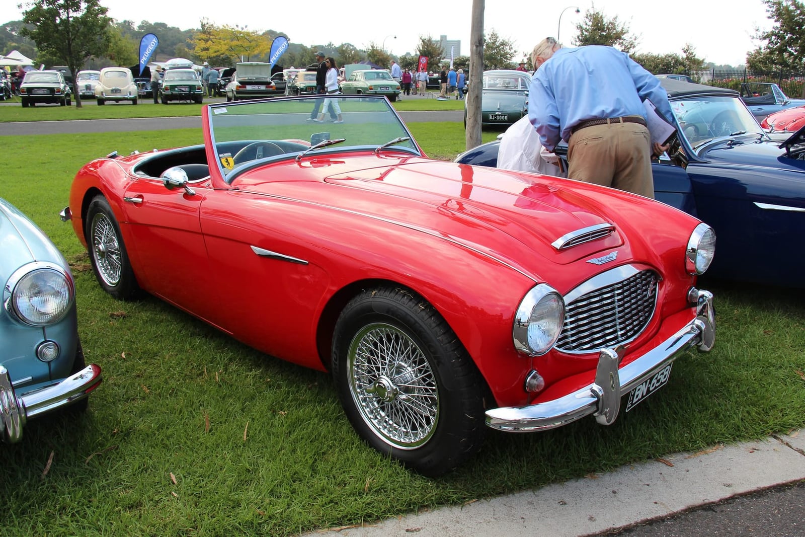 A red 1958 Austin-Healey 100-6 BN6 two-seat roadster on grass at a classic car show, front three-quarter view