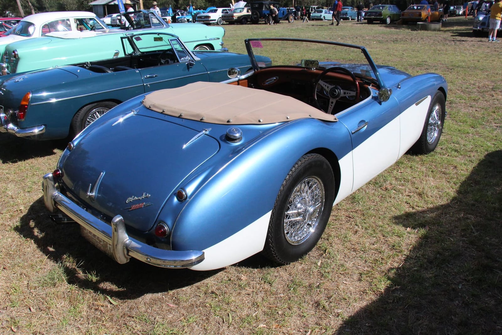 The rear three-quarter of a blue and white 1960 Austin-Healey 3000 Mk I BN7 two-seater with its tonneau cover fitted, at an outdoor show