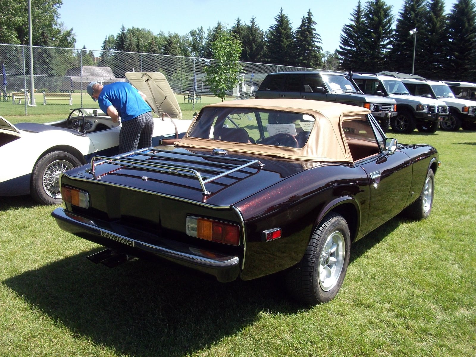 The rear of a dark blue Jensen-Healey roadster, hood folded down