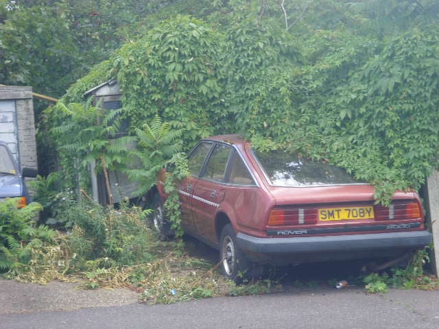 A red 1983 Rover SD1 2000 abandoned and overgrown beside a building, rear three-quarter view, UK registration SMT 708Y
