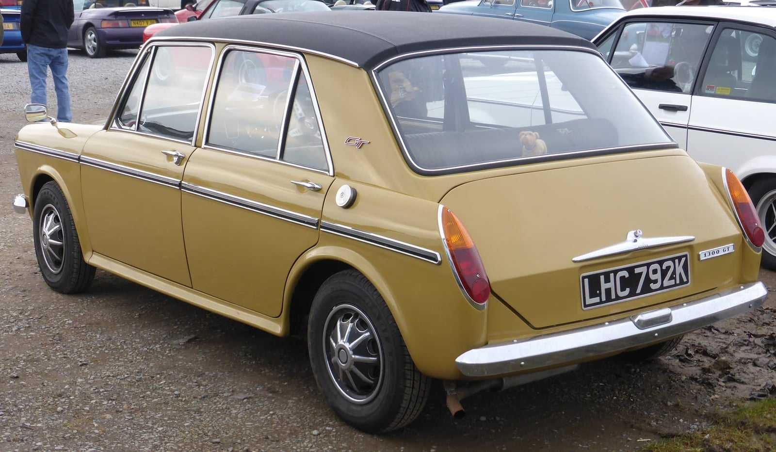 The rear three-quarter of a mustard yellow 1972 Austin 1300 GT with a black vinyl roof