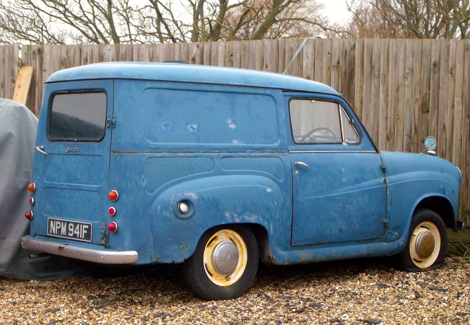 An unrestored blue Austin A35 van with faded paint and surface rust, parked on gravel by a fence, rear three-quarter view