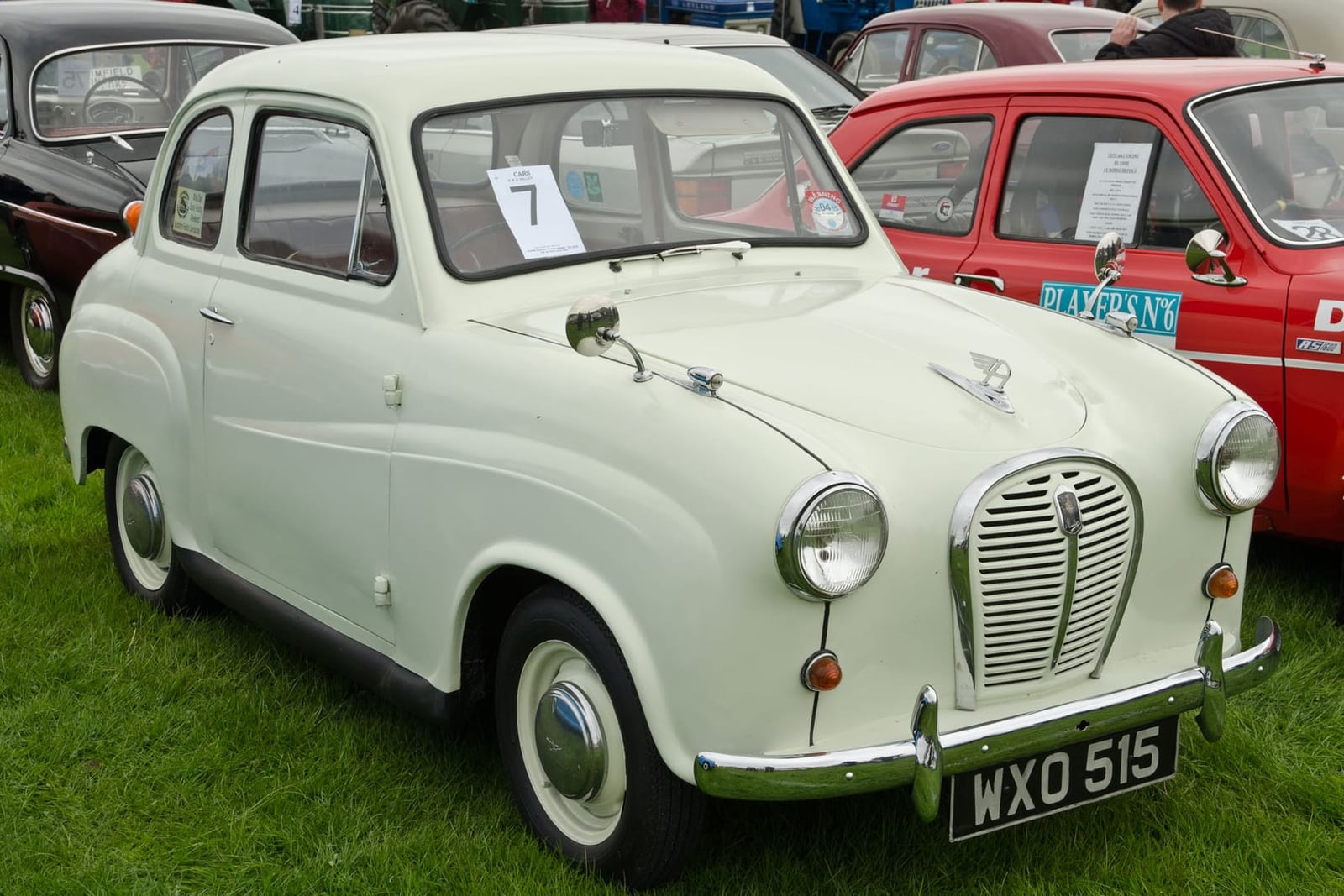 A cream 1959 Austin A35 two-door saloon on grass at a classic car show, front three-quarter view, UK registration WXO 515