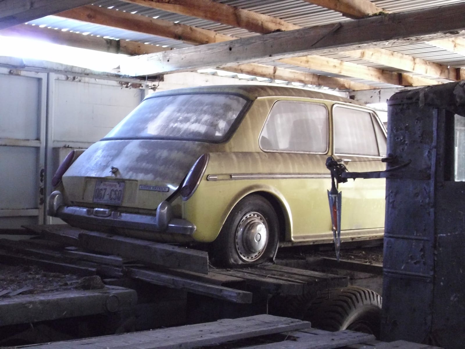 A cream Austin America, the United States market version of the 1100, parked under a shelter