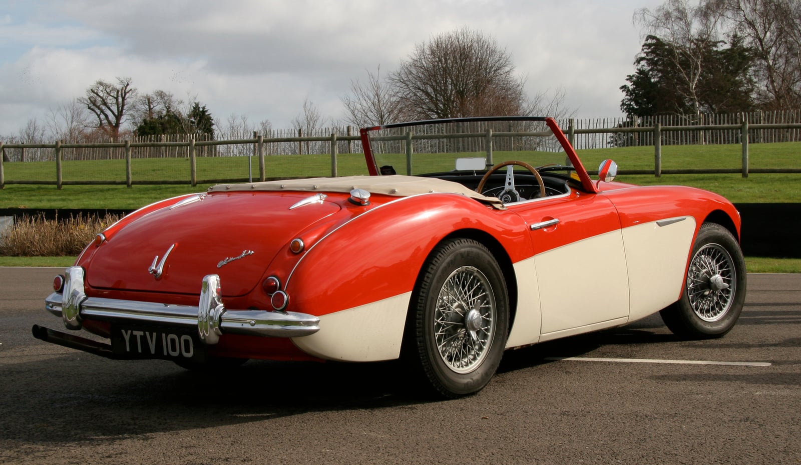 A two-tone Austin-Healey 100-6 seen from the rear, with the registration YTV 100