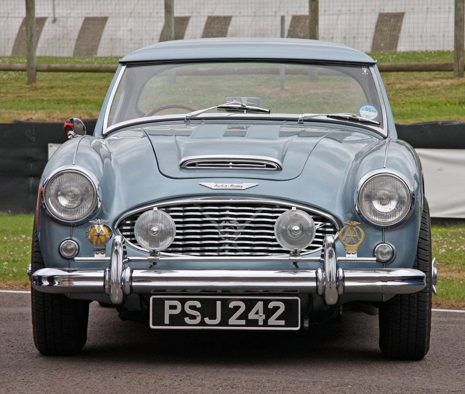 The front of a powder-blue Austin-Healey 3000 sports car showing a black-and-silver number plate reading PSJ 242