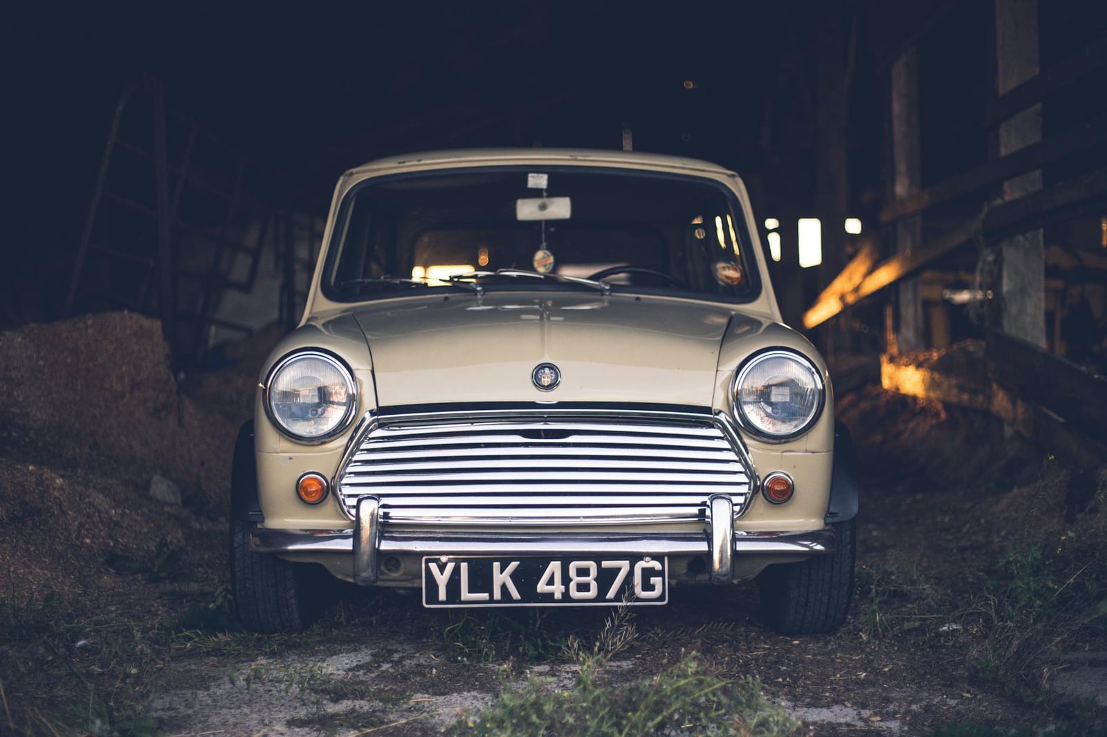 A cream classic Mini parked head-on inside an old wooden barn