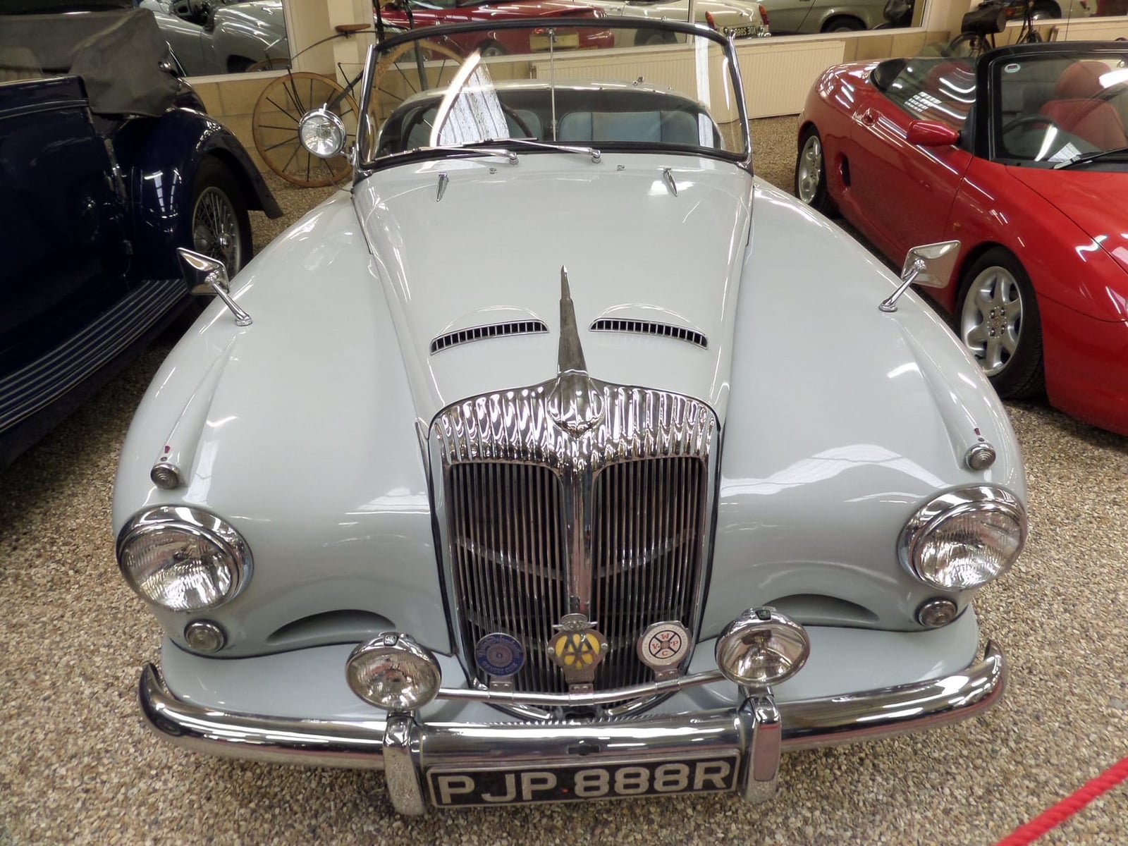 A grey 1954 Daimler Conquest Roadster on indoor display, front three-quarter view