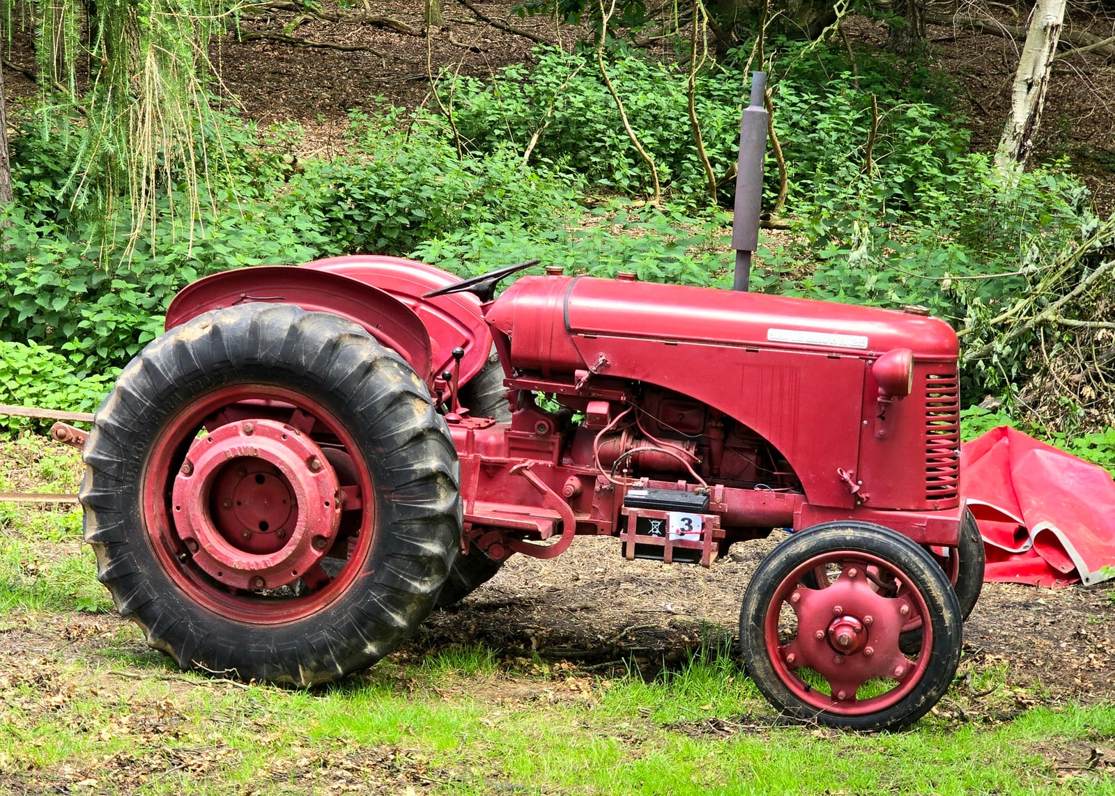 A weathered red David Brown 25 tractor, side profile in woodland