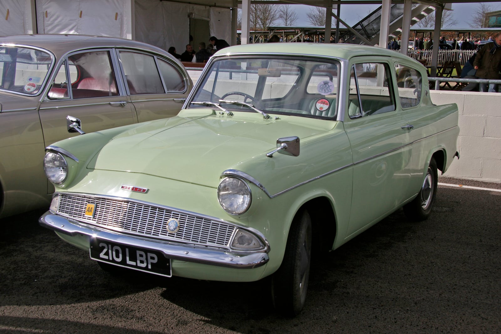 A pale green Ford Anglia 105E in profile, showing the forward-sloping reverse-rake rear window