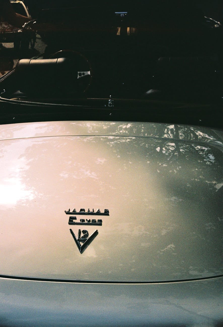Close-up of a Jaguar E-Type bootlid badge reading Jaguar V12