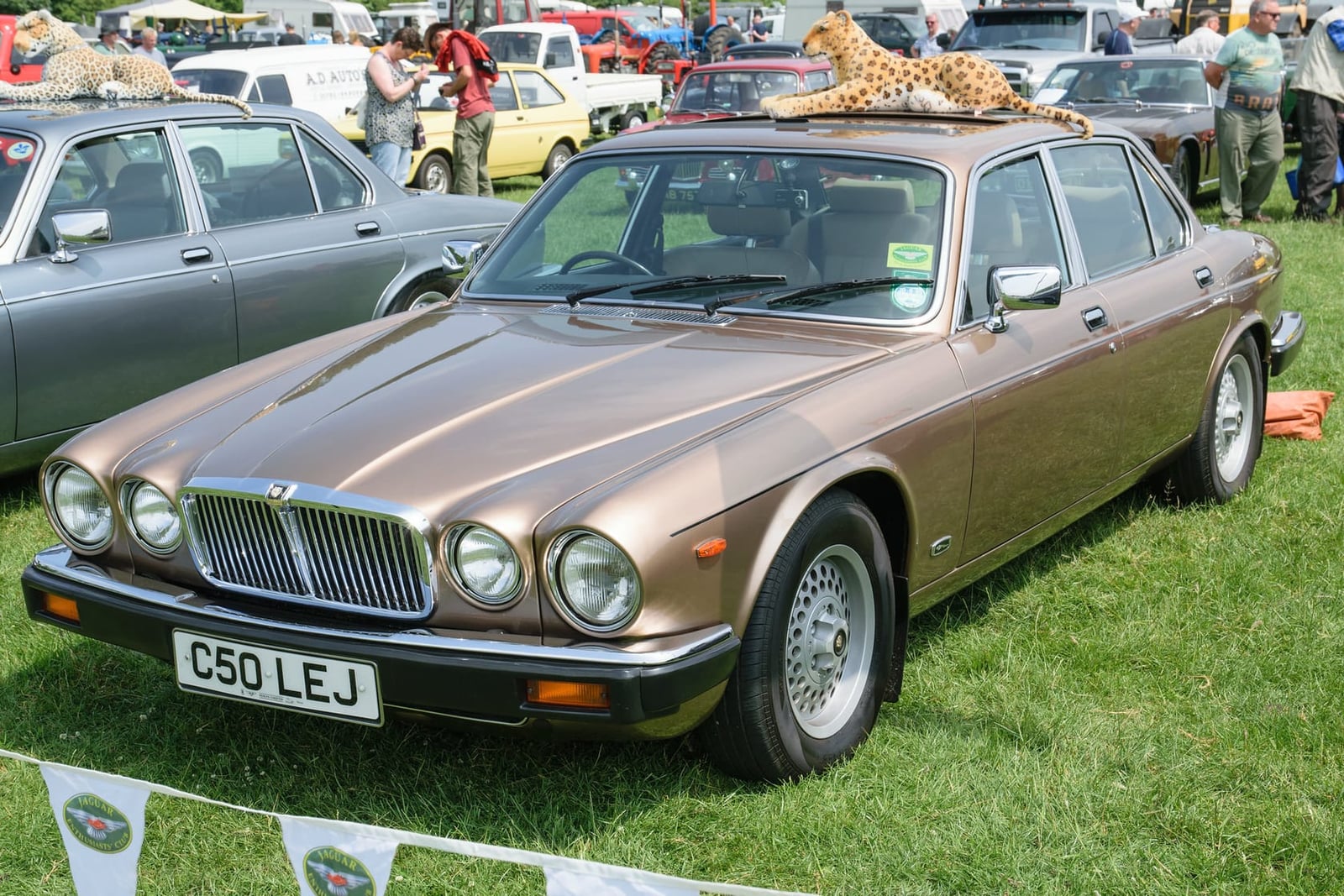 A bronze 1985 Jaguar XJ6 Series 3 with a UK registration on a show field