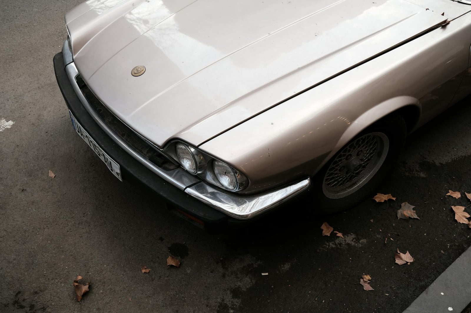 Front detail of a silver Jaguar XJS showing the twin round headlamps and a lattice alloy wheel