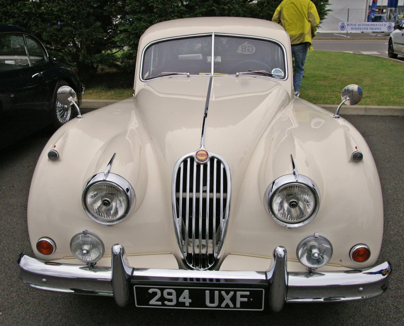 A cream Jaguar XK140 photographed head-on at a classic car event, UK registration 294 UXF