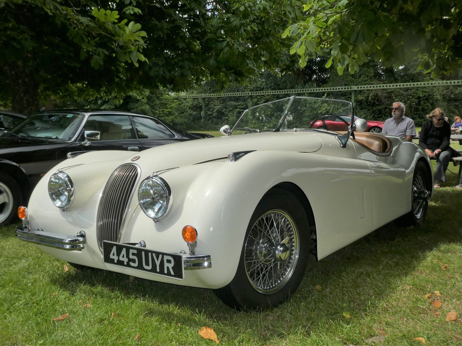 A cream Jaguar XK120 open roadster on grass at a classic car show, front three-quarter view, UK registration 445 UYR