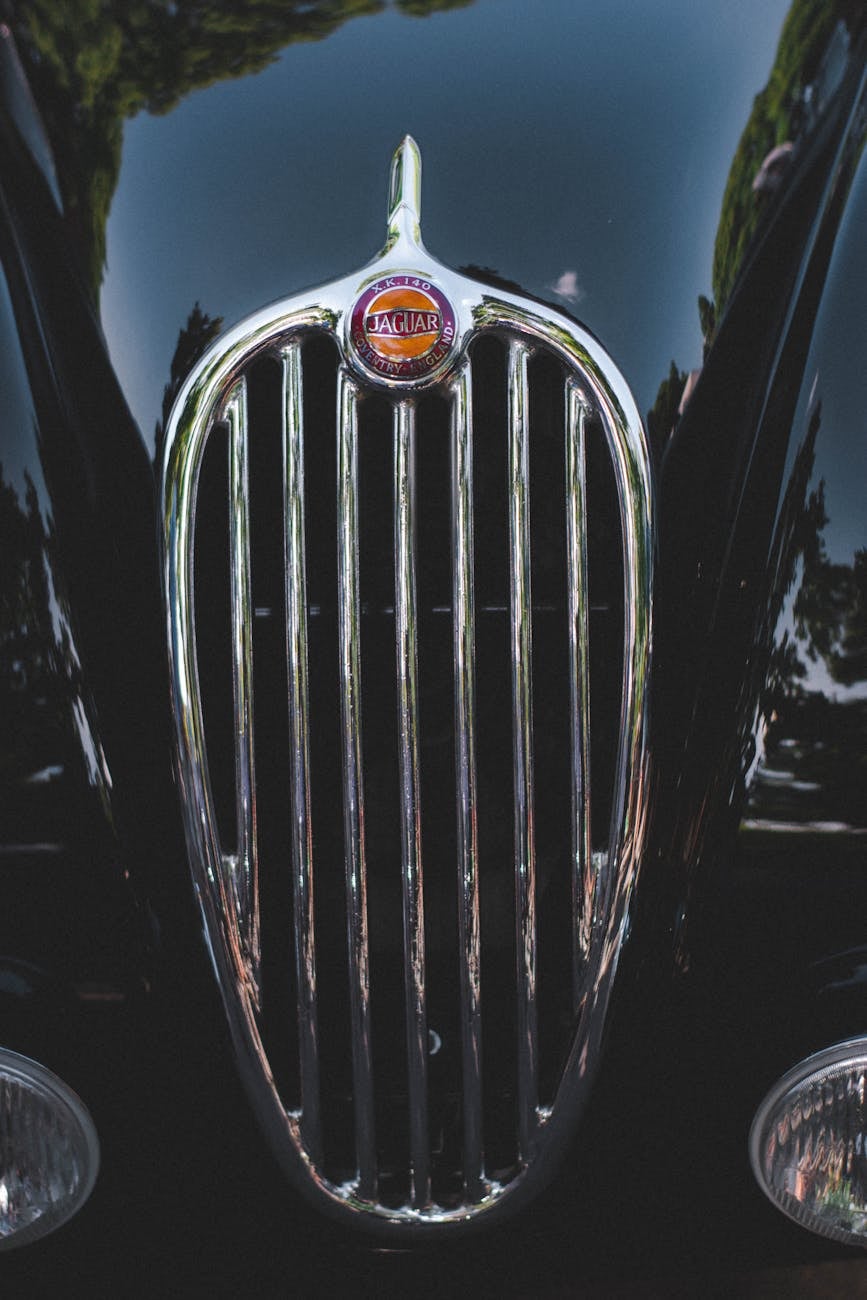Close-up of the grille badge of a Jaguar XK140