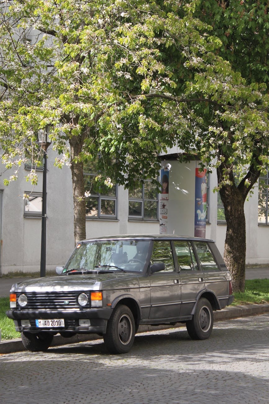 A silver four-door Range Rover Classic parked under a tree