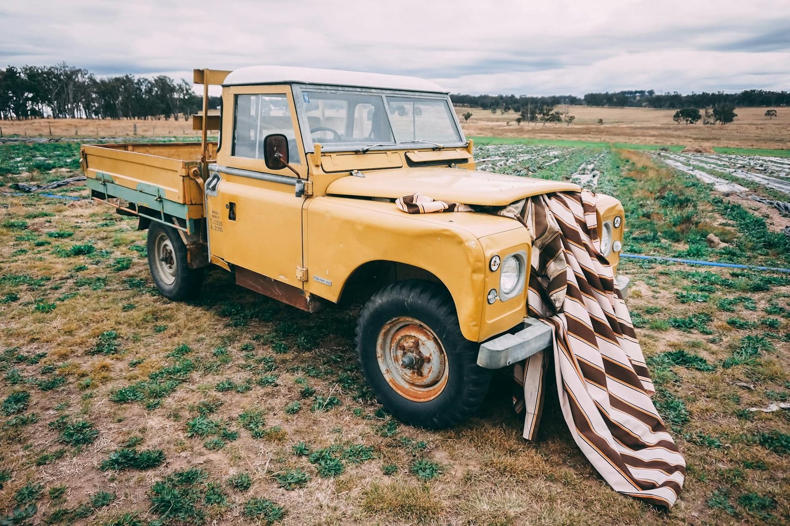 A yellow Land Rover Series III pickup parked in a rural field