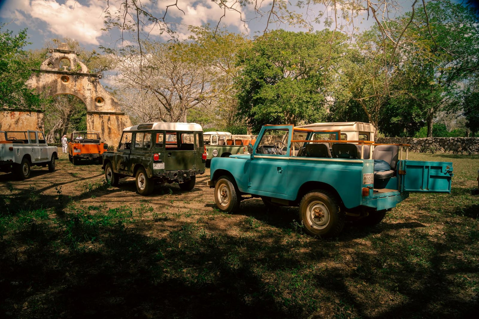 A gathering of classic Land Rover Series vehicles in a field