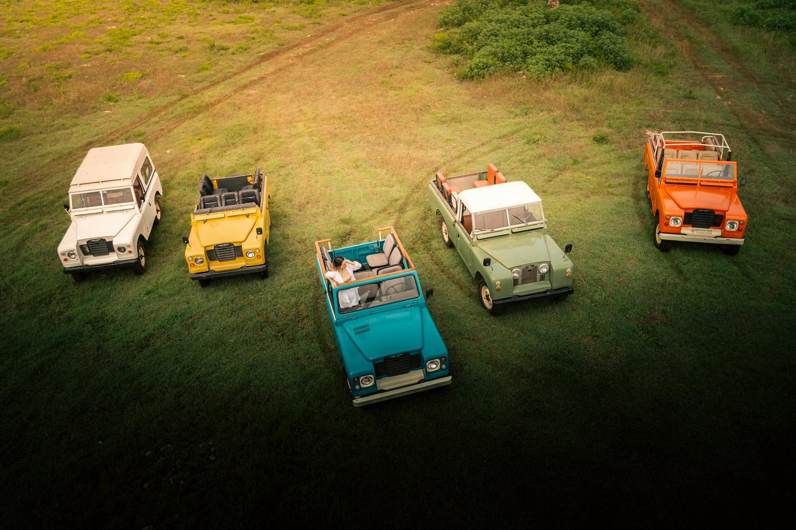 Several classic Land Rover Series vehicles arranged together
