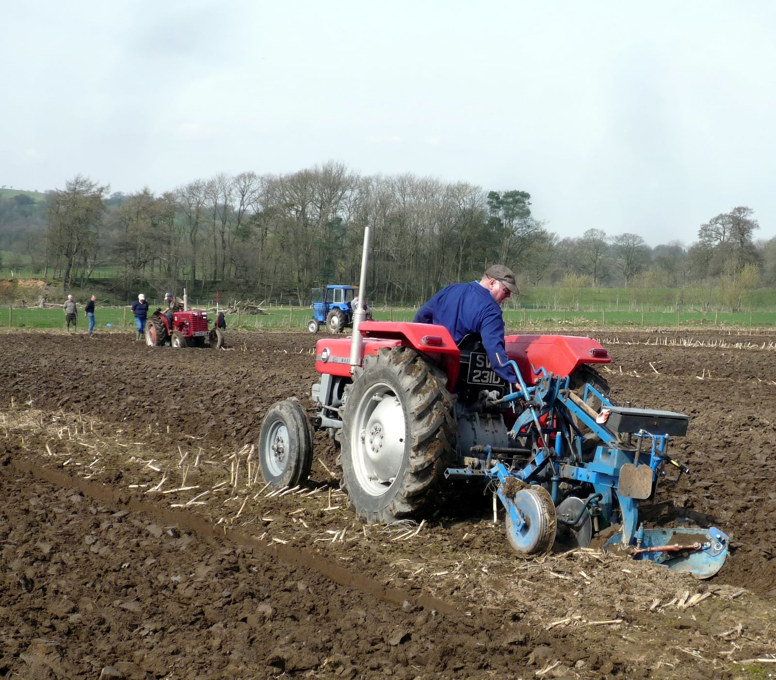A red Massey Ferguson 135 ploughing a field at a ploughing match, seen from behind with a mounted plough, other tractors working in the distance