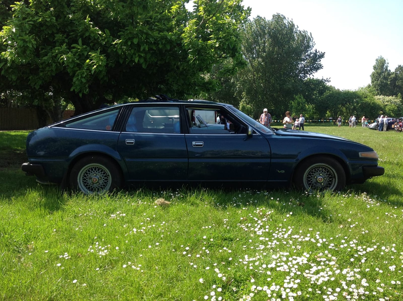 A dark green Rover SD1 4600 V8 in side profile on grass in a park