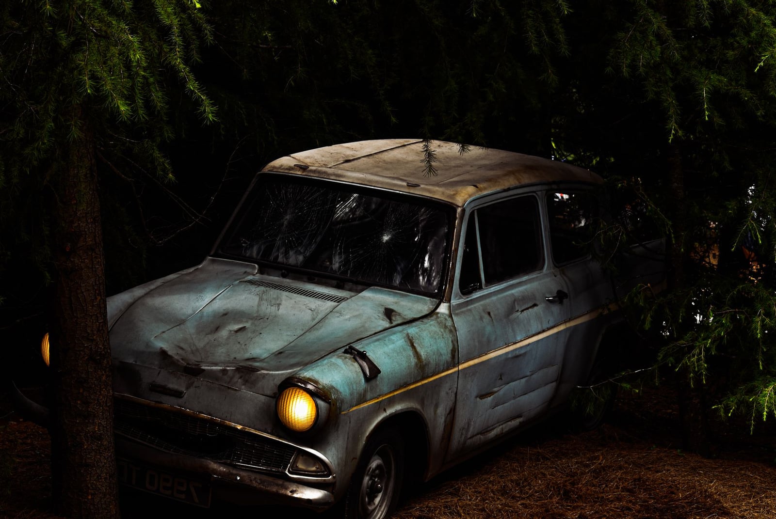 A derelict, rusty Ford Anglia 105E with a smashed windscreen abandoned under fir trees
