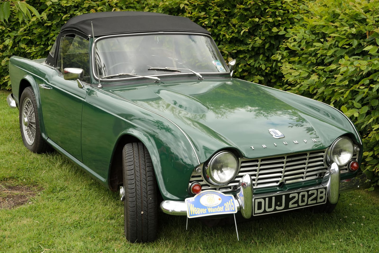 A dark green 1964 Triumph TR4 with a black hardtop and a UK registration beside a hedge